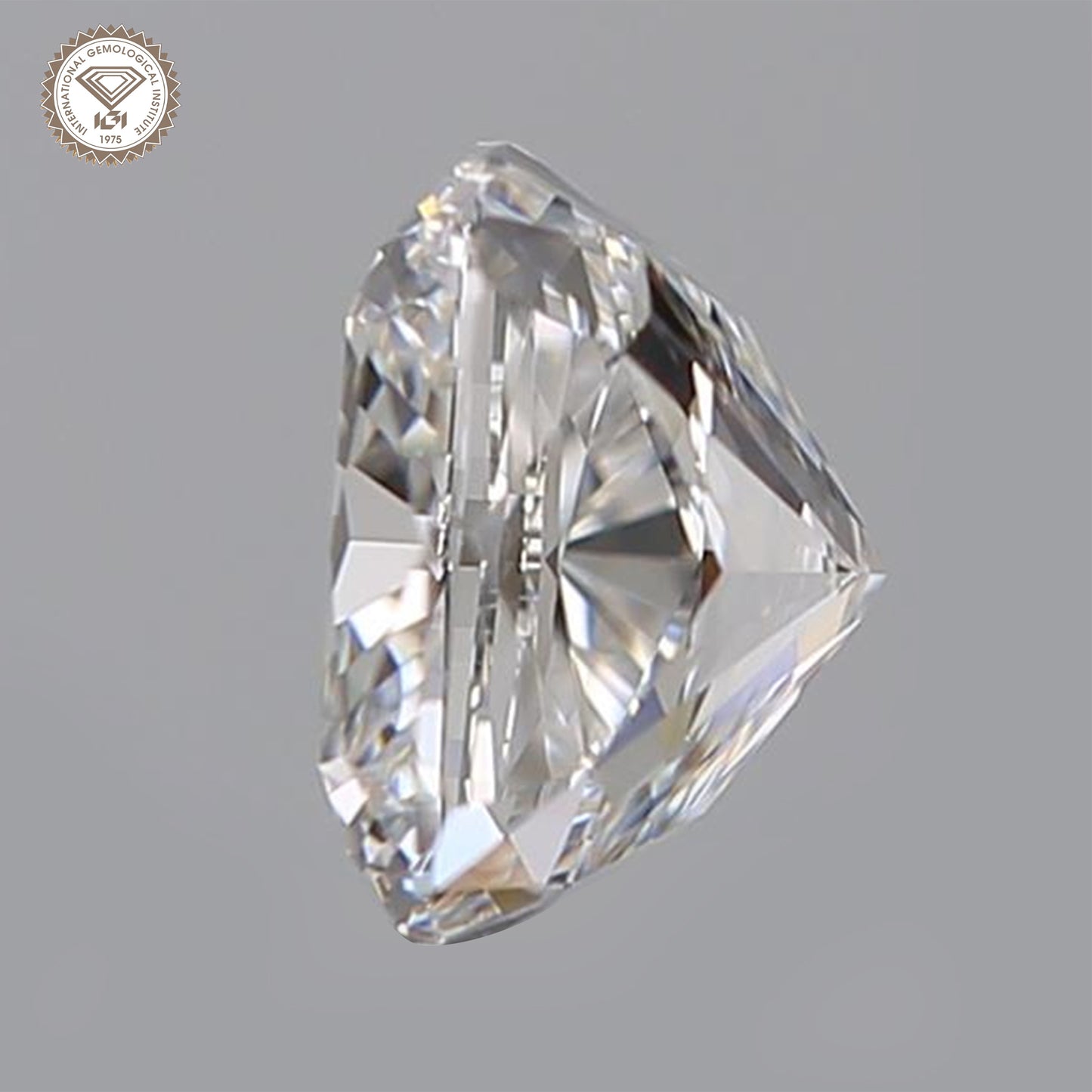 IGI Certified 1 Ct. Natural Diamond E Color Cushion Cut SI2 Clarity