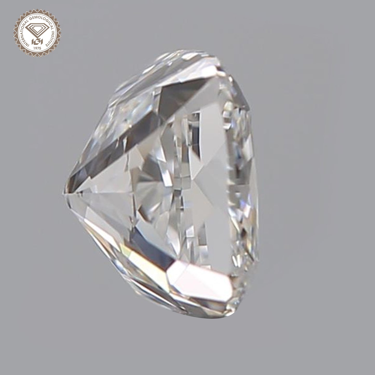 IGI Certified 1 Ct. Natural Diamond E Color Cushion Cut SI2 Clarity