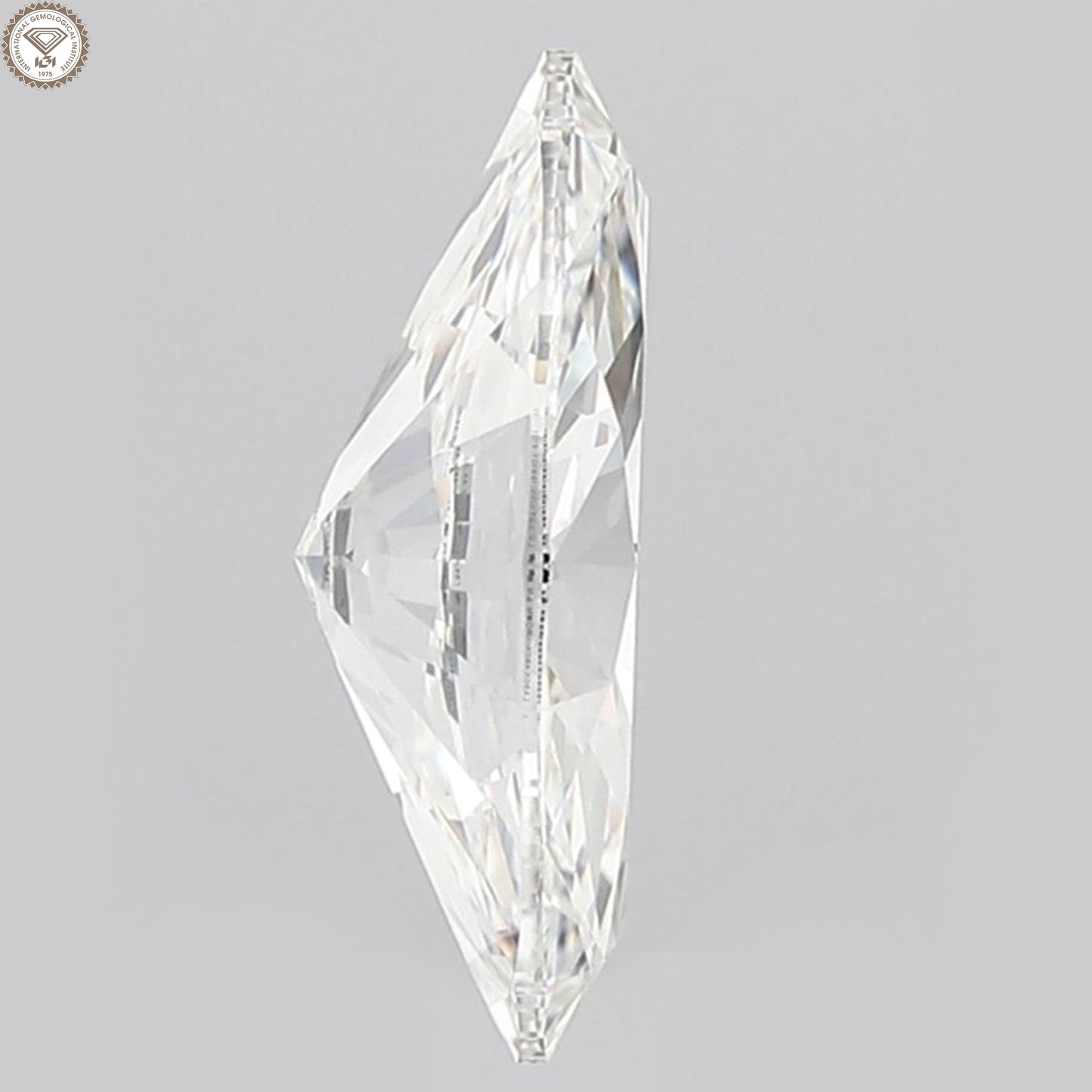 HRD Certified 1.01 Ct. Natural Diamond E Color Cushion Cut SI2 Clarity