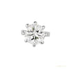Round Cut Natural Diamond Women's 6 Prong Set Stud Earrings 14k White Gold – white background main image