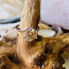 RARE 6.50 Ct Champagne Round Cut Moissanite Solitaire Ring in Cert 18K Gold Plated 18K Gold Plated