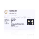 IGI Certified 0.28 Ct Diamond Stud Earrings G-H VS Brilliant Cut Tops
