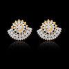 0.81 Ct IGI Certified . Natural Diamond 18KT Gold Stud Earrings gifts for Gift