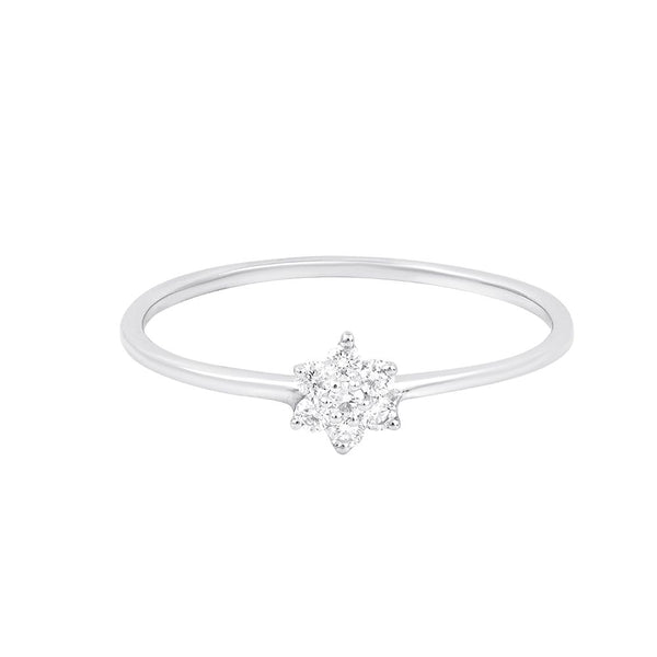 Eternal Brilliance Platinum Nakshatra Ring - Image 3 - GEMHUB